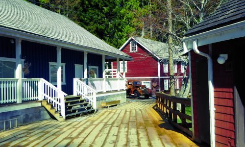 Telegraph Cove (nord de l'île) ©Terra Canada Telegraph Cove (nord de l'île)