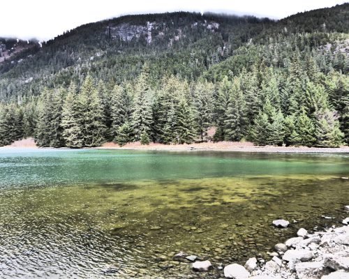 Randonnée à Haines Randonnée à Haines