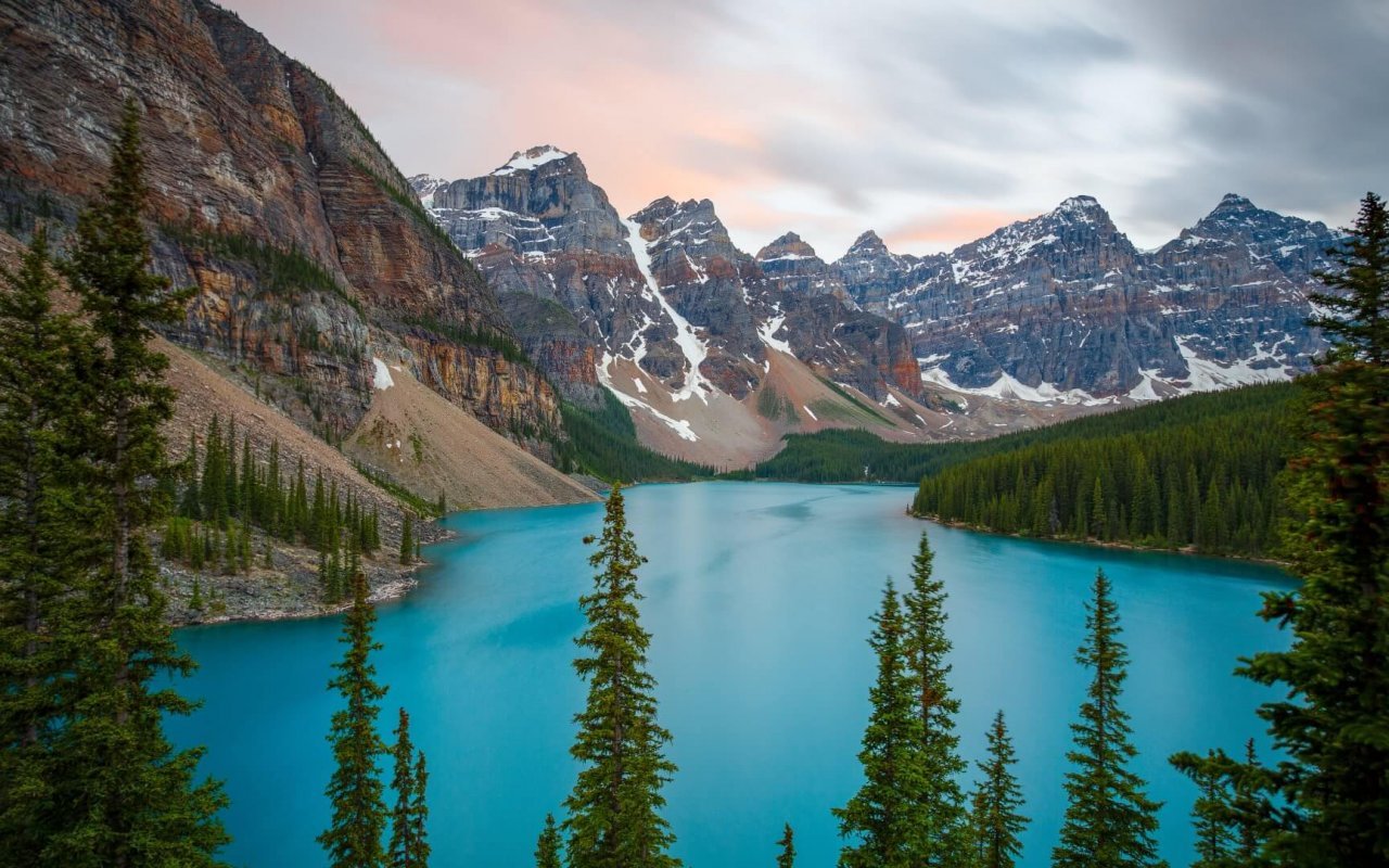 Vue forêt, lac et montagnes